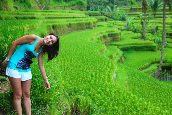 Beauty Of West Bali Tour (Private and All Inclusive) - The long drive reality: start smart at 8:30am