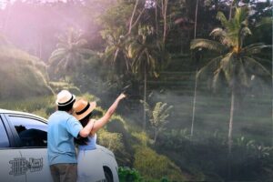 Benoa Cruise Port: Private Bali Day Tour with Local Guide - Morning at Tegalalang Rice Terrace: Go Early, Walk Light, Look Up