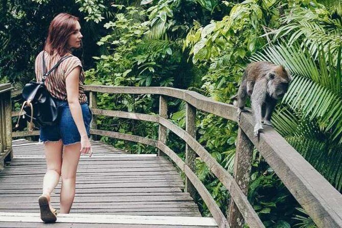 Best Day Trip in Bali - Terrace River Pool Swing: The Photo Stop With a Reality Check