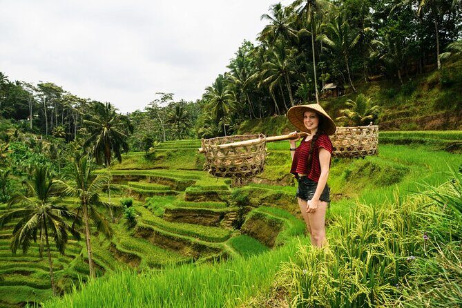 Best of Ubud 1-Day Private Tour - A One-Day Ubud Route That Actually Makes Sense