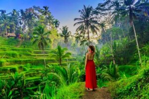 Best of Ubud: All-Inclusive Private Tour with Local Guide - Happy Swing Bali: the Bali swing stop done with time to spare