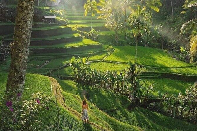 Best of Ubud: All-Inclusive Private Tour with Local Guide - Tirta Empul Temple: holy water, and you choose how involved to be