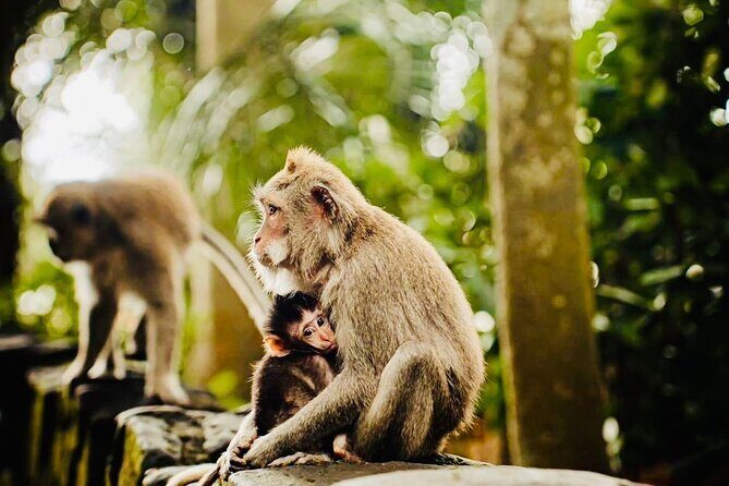 Best of Ubud: All-Inclusive Private Tour with Local Guide - Pangkon Bali Resto & Agrotourism: lunch break you control