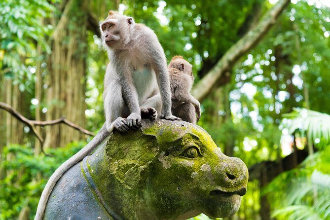Best of Ubud Attractions: Private All-Inclusive Tour - Guide quality and why photo angles matter in Ubud