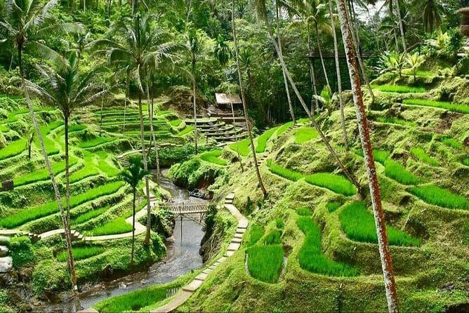 Best of Ubud Full Day Private Guided Tour - Stop 1: Barong and Kris Dance for Bali Theater Energy