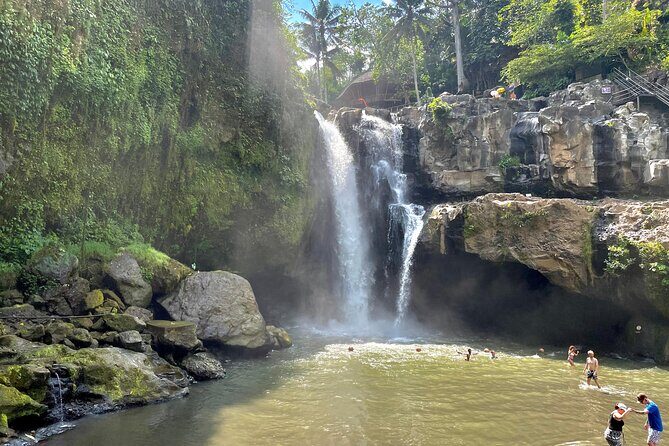 Best Of Ubud Half Day Private Guided Tour - Getting to the sights: pickup, comfort, and how long it may really take