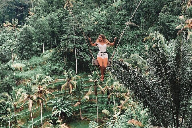Best of Ubud Private Tour with Jungle Swing Experience - A private Ubud day that actually feels like your day