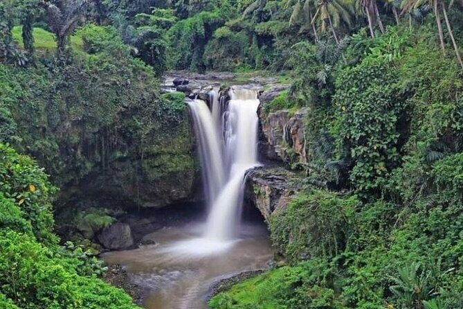 Best of Ubud Private Tour with Jungle Swing Experience - Sacred Monkey Forest Sanctuary: a shaded walk with plenty to spot