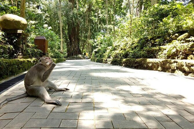 Best of Ubud Private Tour with Jungle Swing Experience - Ubud Traditional Art Market: a relaxed finish for souvenirs