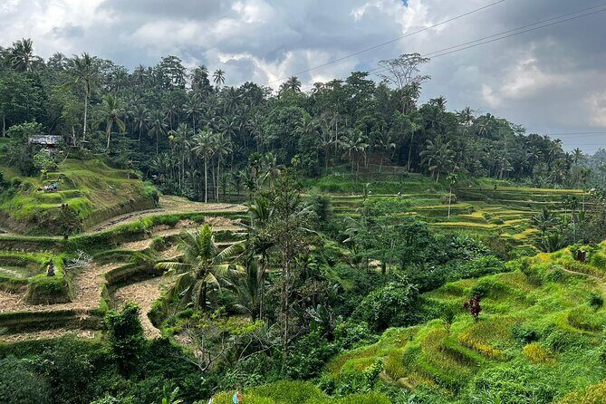 Best of Ubud - Ubud Tour Popular - All Inclusive - Tegalalang Rice Terrace: Subak, Slopes, and the Best Views