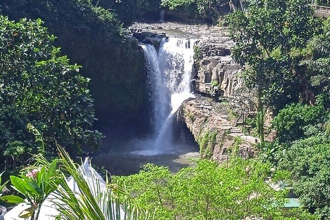Best of Ubud - Ubud Tour Popular - All Inclusive - Tegenungan Waterfall: Photo-Stop Thrills, Swim Options, and Real-Time Fees