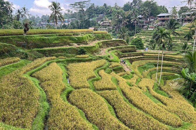 Best of Ubud - Ubud Tour Popular - All Inclusive - Puseh Batuan Temple: Black Palm Roofs and Villager Care