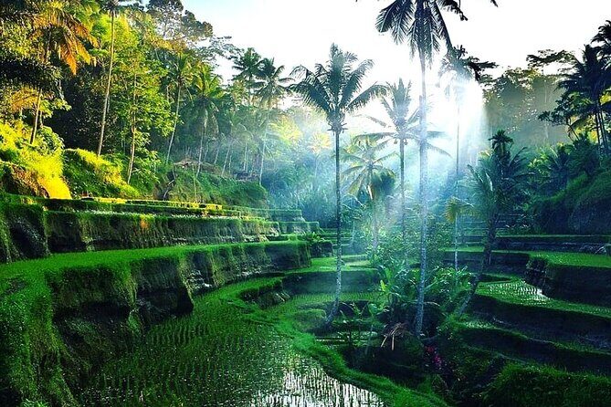 Best of Ubud - Ubud Tour Popular - All Inclusive - Pickup Around Ubud (and Beyond): Getting Where You Need to Go