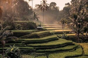 Best of Ubud Waterfalls, Tegalalang Rice Terrace and Swing Tour - Tegalalang Rice Terrace: swing views and included entry