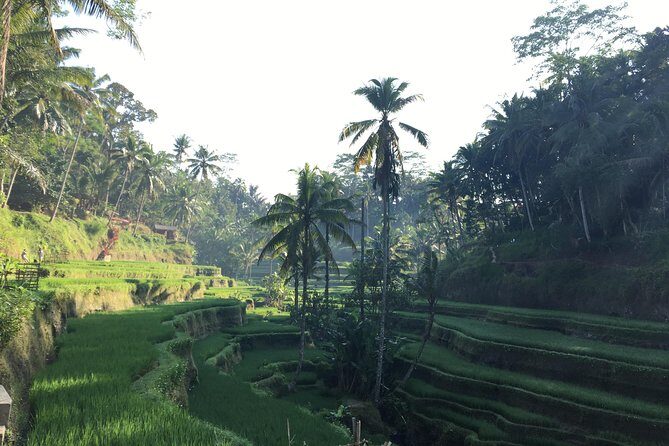 Best of Ubud Waterfalls, Tegalalang Rice Terrace and Swing Tour - Tibumana Waterfall: stairs, palms, and a calmer feel