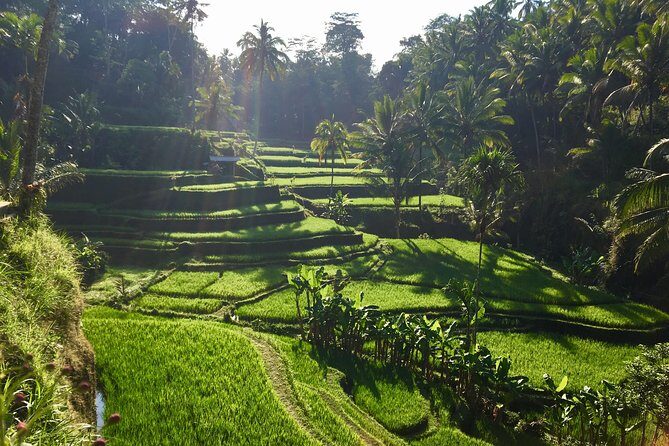 Best of Ubud Waterfalls, Tegalalang Rice Terrace and Swing Tour - Tukad Cepung Waterfall: cliffs and that light-through effect