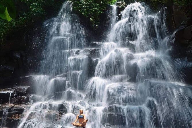 Best of Ubud Waterfalls, Tegalalang Rice Terrace and Swing Tour - Price and value: what $29 covers, and why that matters