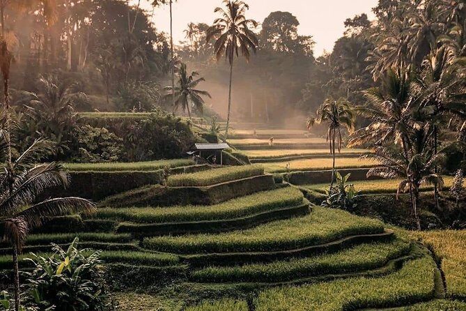 Best of Ubud Waterfalls, Tegalalang Rice Terrace and Swing Tour - Tegalalang Rice Terrace: swing views and included entry