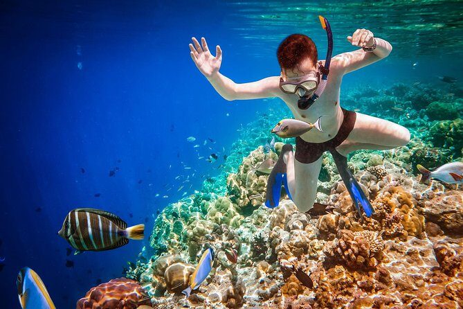 Best Snorkeling Trip at Blue Lagoon Bali - Boat + Reef Time: Turning “Two Stops” Into Actual Sea Life