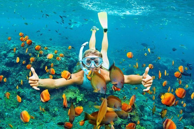 Best Snorkeling Trip at Blue Lagoon Bali - Lunch, Showers, and the Part People Forget to Plan