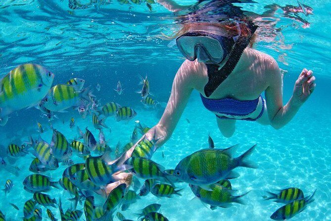 Best Snorkeling Trip at Blue Lagoon Bali - Who This Snorkeling Tour Fits Best (and Who Might Be Happier Elsewhere)