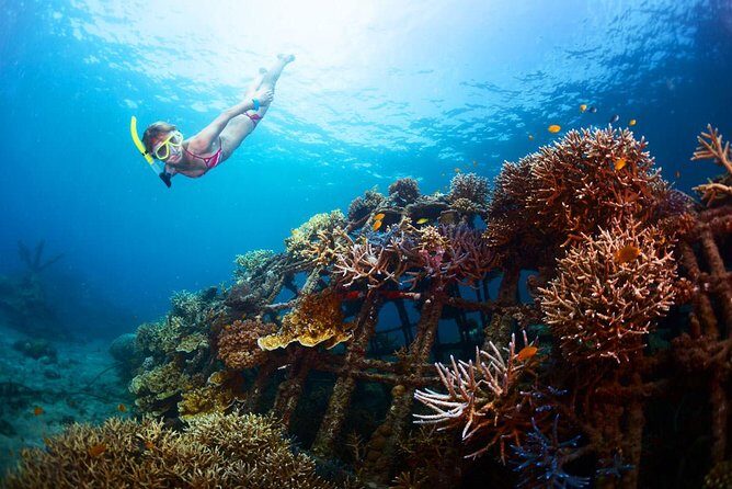 Bloo Lagoon Snorkeling East Bali Includes Transportation & Lunch - Lunch by the beach: what’s included and how to get the most from it