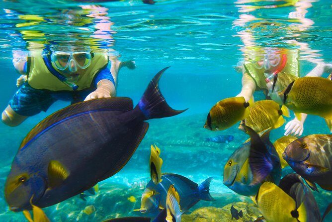 Bloo Lagoon Snorkeling East Bali Includes Transportation & Lunch - Optional upgrade: Lempuyang Temple’s Gates of Heaven
