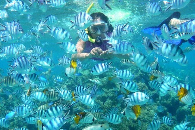 Bloo Lagoon Snorkeling East Bali Includes Transportation & Lunch - Group size and service: why the guides’ names keep popping up