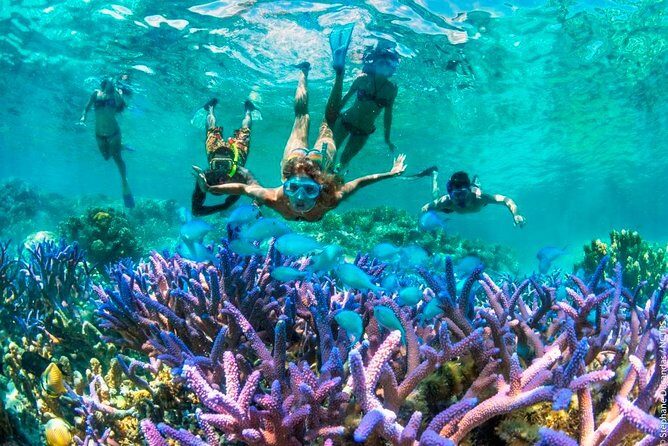 Bloo Lagoon Snorkeling East Bali Includes Transportation & Lunch - Blue Lagoon on the water: gear, support, and what you should watch for