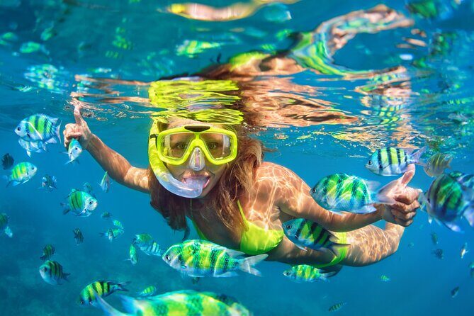 Blue Lagoon Bali Snorkeling Experience - What snorkeling feels like here: gear, guide, and boat timing