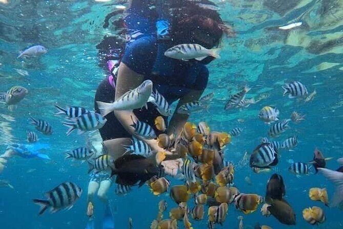 Blue Lagoon Snorkeling and Lunch - Kanto Lampo - Suwat Waterfall - All inclusive - Getting from Ubud: hotel pickup, private transportation, and fewer logistics headaches