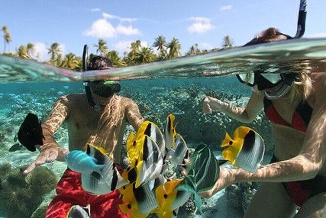 Blue Lagoon Snorkeling - Lunch - Kantolampo - Tibumana Waterfall - Final decision: should you book it