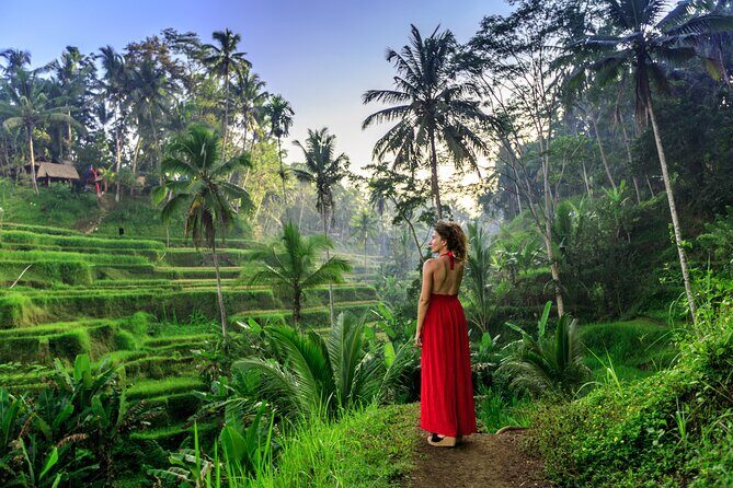 Cave Tubing Adventure & Rice terrace - Price and value: why $18.95 can make sense in Bali