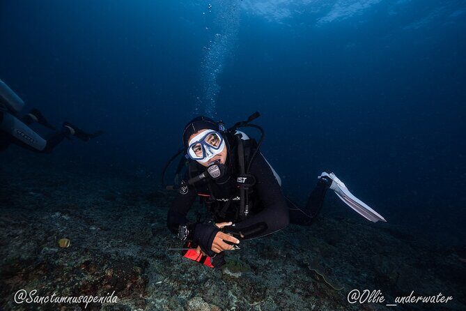 Certified Scuba Dive with Manta Rays (Open Water Diver minimum) - Small groups and 1:4 coaching: the safety that feels personal