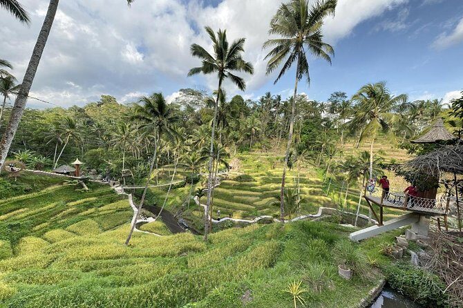 coconut wine and coffee safary tour - Guides Like Oka, Wayan, and Keris Make the Difference