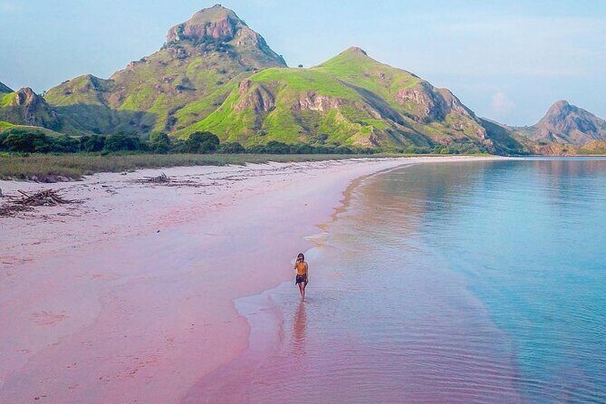 Daily Trip Highlight Komodo Archipelago by Speed Boat - Komodo Island Trek: Seeing Dragons Without Ruining the Moment