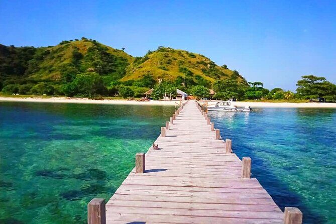 Daily Trip Highlight Komodo Archipelago by Speed Boat - Lunch, Drinks, and the Real Price Question