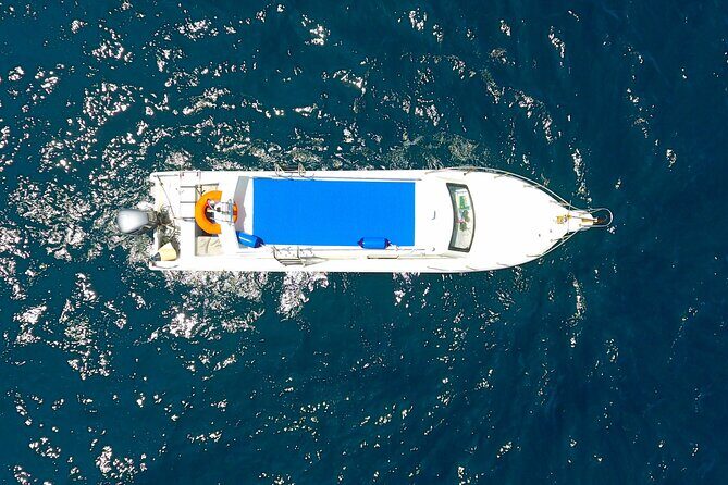 Daily Trip Highlight Komodo Archipelago by Speed Boat - Who This Trip Fits Best (And Who Should Consider Alternatives)