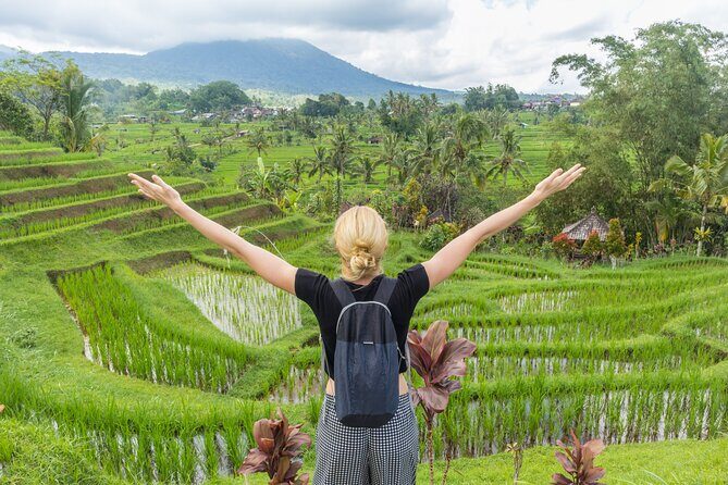 Discover Hidden Waterfall, Unesco Rice Terraces and Mountain Temple - Stop 2: Jatiluwih UNESCO rice terraces and how irrigation shapes the view