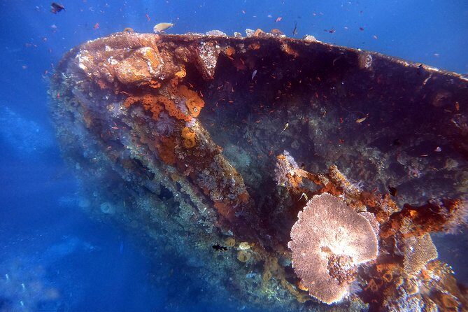Discover Scuba Diving - The Morning Flow in Amed (and why it works for beginners)