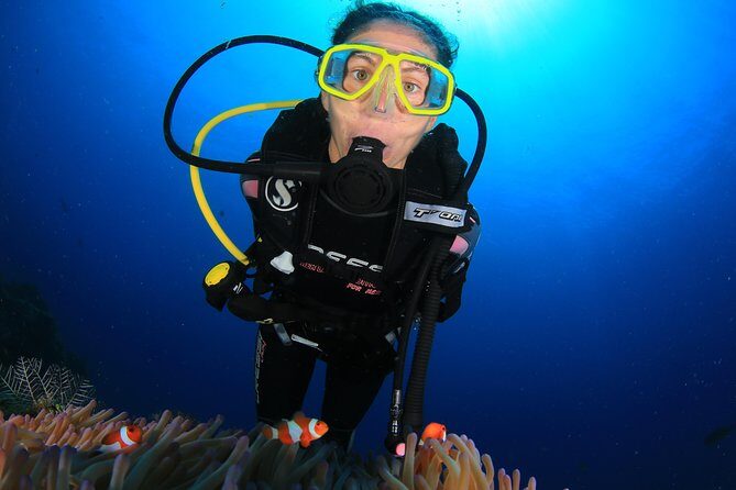 Discover Scuba Diving - Your sea session choice: Coral Garden vs the USAT Liberty wreck