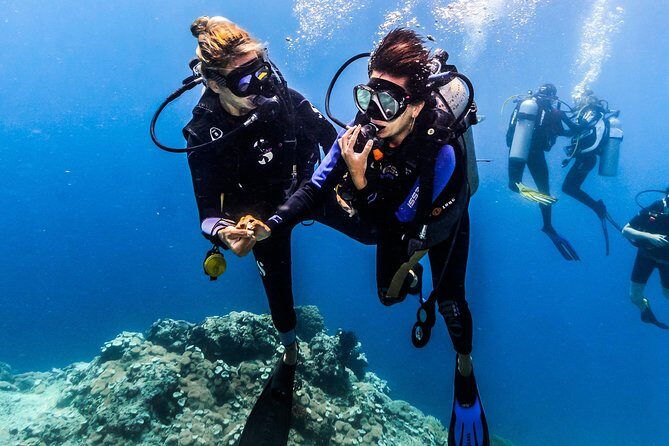 Discover Scuba Diving in Pemuteran - Diving Initiation in Bali (Menjangan Park) - The Morning Setup: Where You Start and What You Do First