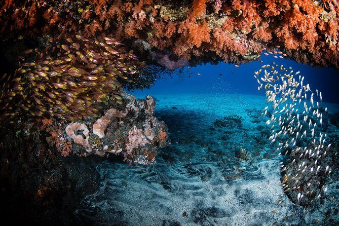 Discover Scuba Diving in Tulamben - Diving Initiation in Bali best diving sites - USS Liberty Shipwreck: the main highlight for marine life spotting