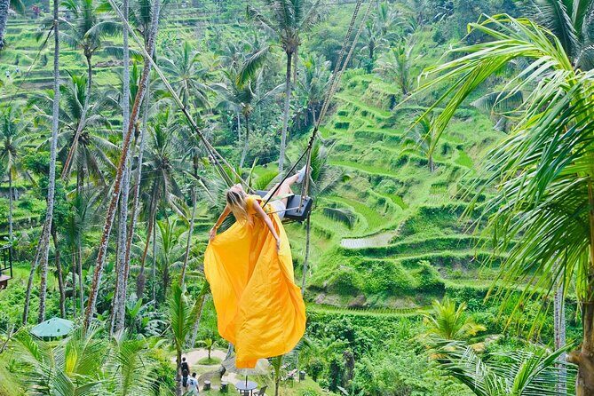 Discover The Best of Ubud: All-Inclusive and Private Guided Tour - A private Ubud highlights route that beats DIY chaos