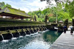 Discover The Best of Ubud: All-Inclusive and Private Guided Tour - First stop: Sacred Monkey Forest Sanctuary without getting stressed