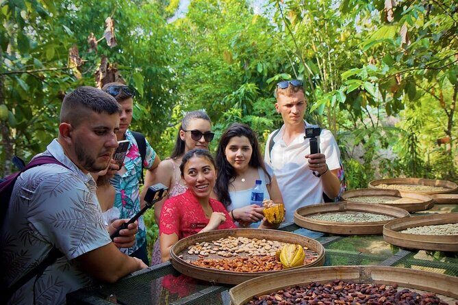 Discover The Best of Ubud: All-Inclusive and Private Guided Tour - Lunch at Amertha Restaurant: a break with rice-field views