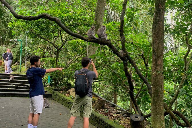 Discover The Best of Ubud: All-Inclusive and Private Guided Tour - All-inclusive value: when it’s worth it and when it isn’t