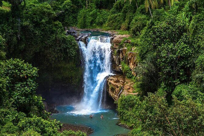 Discover Ubud: Exotism Ubud and Optional Meet the Bali Shaman - Why this Ubud healer-focused route works so well