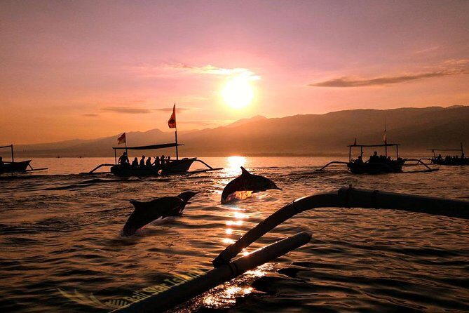 Dolphin Tour and Sunrise Watching in Lovina Beach - All Inclusive - Key Highlights You’ll Want to Know