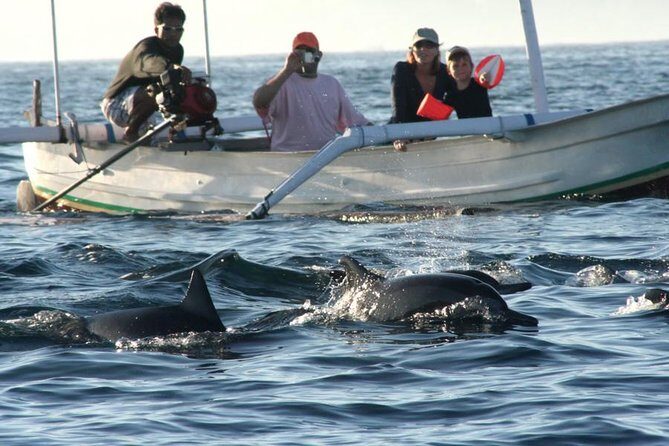 Dolphin Tour and Sunrise Watching in Lovina Beach - All Inclusive - Lovina at Sunrise: Why This Timing Matters